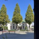 군산시 시간여행마을 일원 (월명동)-10 | 군산시간여행축제 짬뽕페스티벌 정보 셔틀버스