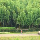 한눈에 보는 전국 정원 172선" 꽃 좋아하는 사람이라면 꼭 봐야 할 지도 공개 이미지