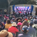 제35회 소요단풍문화제 이미지