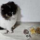 멍스월드 이미지