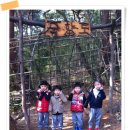 죽향로 Daum카페
