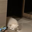 아베르haber