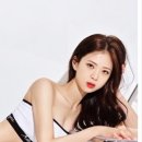 더바른핏 이미지