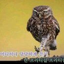 브랜딩비유 이미지