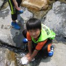 솔향태권도 이미지