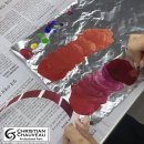 뷰티퍼스널컬러전문가(2급) 이미지