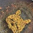 영락농원 이미지