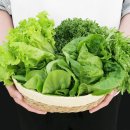 샐러드와 이미지