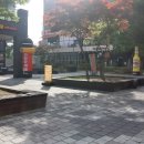 롯데쇼핑(주)롯데몰진주점 | 진주 고기집 맛집, 주변 소문 듣고 다녀온 혁신도시 부자돼지 후기