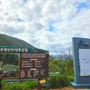 현일세탁 이미지