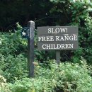 느린학습자의 이해 이미지