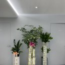 연세돋음의원 이미지