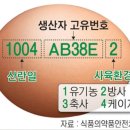 이노바이오팜 | 이노바이오팜/Ge란 게르마늄계란, 건강한 방사유정란 내아이를위해♡