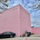 로우풀 | 경남 합천 대형카페 로우풀 [내돈내산]