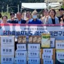 강원도여성가족연구원 이미지