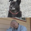 승자농장 이미지