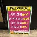 웰빙멀티샵 | 김해 다이어트 디에뜨샵 전신 생체 에너지테라피 후기