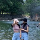 남창감나무집 이미지