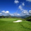 오투골프 이미지