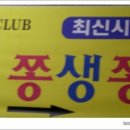 쫑생쫑사 이미지