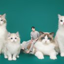 아이돌스 - 전주시 덕진구 견훤로 368 | 아이돌스