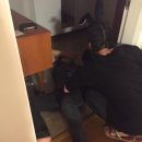 우경이네 이미지