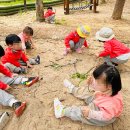 덕원어린이집 이미지