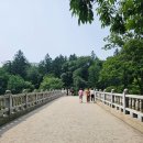 월정사 탑돌이 | 월정사 전나무숲길에서 맨발걷기! 강원도 가볼만한곳, 강원도여행, 월정사 근처 가볼만한곳