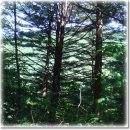 내가웰빙 이미지