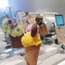 쏠티커피숍