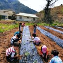 마장초등학교유치원 이미지