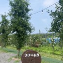 민우네농원 이미지