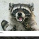 메차쿠차 이미지