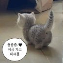 제이뷰짐 | 마곡역 피티샵 제이뷰짐 계속 가고싶은 헬스장