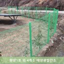향양1호 태양광발전소 이미지