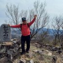 도화버스공용터미널 이미지