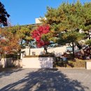 연세명인병원 이미지