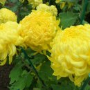 동래원예고등학교 이미지