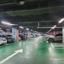 대전 유성구 엑스포코아 전집 추천, 꾸러기스넥 이바지 명절 제사 상차림 맞춤 주문 가능한 곳!