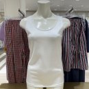 티에스인터내셔널 이미지