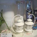 커피트리(COFFEE TREE) 이미지