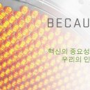 어플라이드머티어리얼즈코리아_Display PSE 모집 이미지