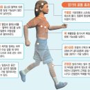 옳바른몸 이미지