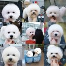 랄라펫살롱 이미지