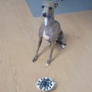 아름1농장 이미지