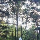 천주교 삼성산교회