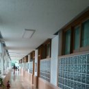 비두초등학교 이미지
