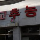 음성고추농산