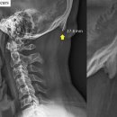 (주)스마트팀 이미지
