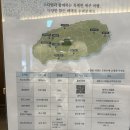 체스야 놀자 | 제주 3박4일 여행 아기랑, 두번째 제주 숙소 스타빌 글램핑 Yurt 숙박 후기